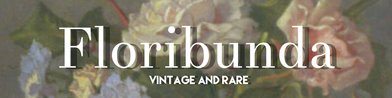 Floribunda Vintage and Rare